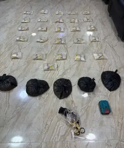 القوات المسلحة الأردنية تحبط محاولة تهريب