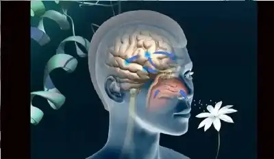 دراسة تفسر لماذا يبدأ مرض الزهايمر