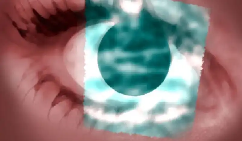 مدار الساعة,أخبار الأسرة