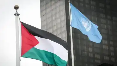 فارس وباوزير يكتبان: التأثيرات القانونية للاعتراف