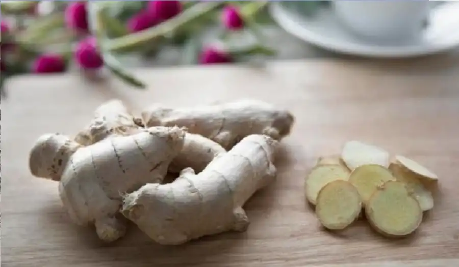 مدار الساعة,أخبار الأسرة