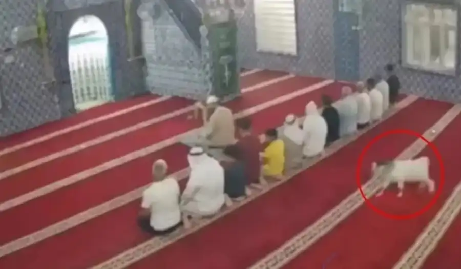 مدار الساعة,أخبار الأسرة