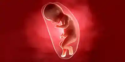 مفاجأة علمية.. ميكروبات الأمهات تبني أدمغة