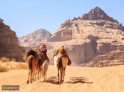 المزنة يكتب: عطوفة مفوض السياحة