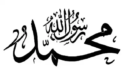 ما حكم الذبائح التي تكون في