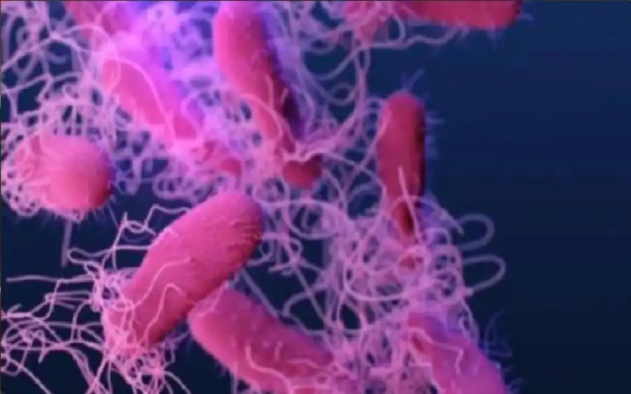 مدار الساعة,أخبار الصحة والأسرة