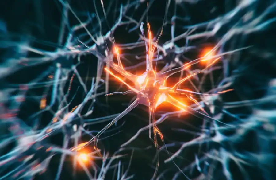 مدار الساعة,أخبار الصحة والأسرة