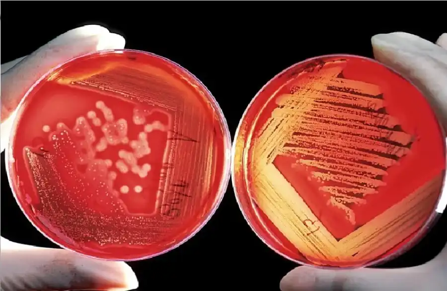 مدار الساعة,أخبار الصحة والأسرة