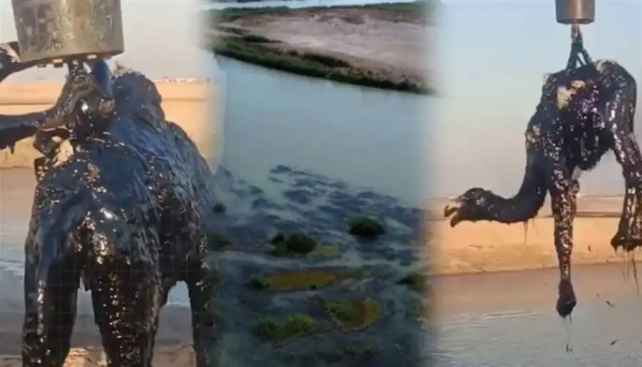 مدار الساعة,أخبار خفيفة ومنوعة,الدفاع المدني,مواقع التواصل الاجتماعي