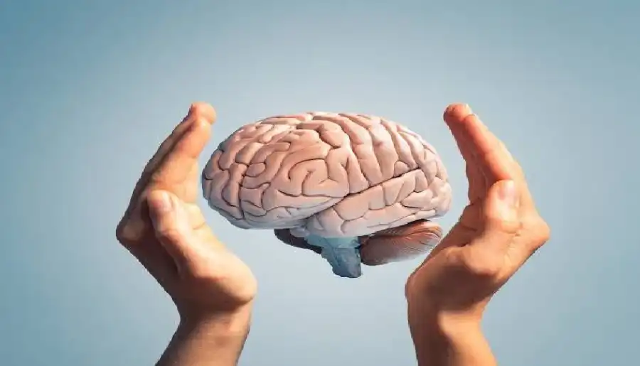 مدار الساعة,أخبار الصحة والأسرة