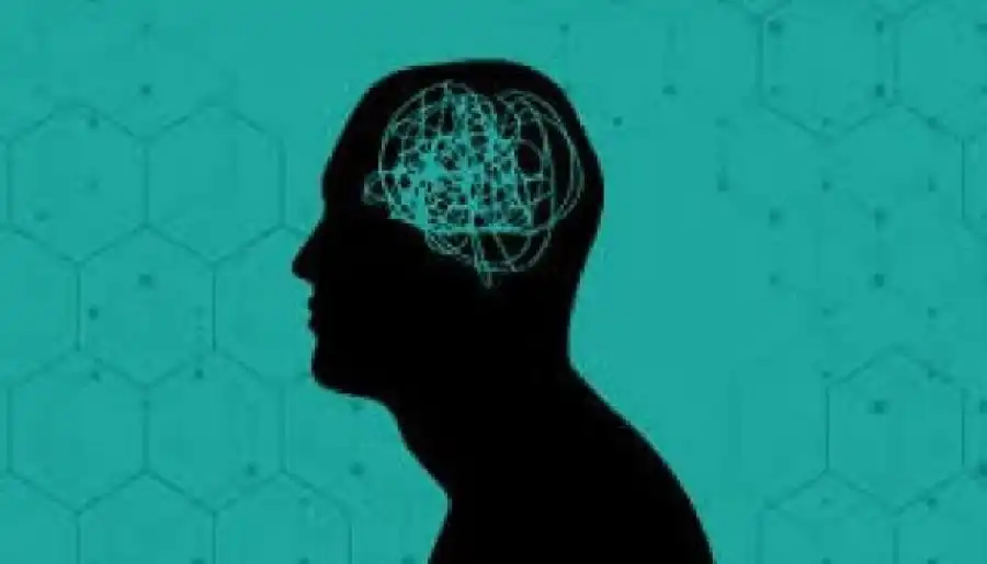 مدار الساعة,أخبار الصحة والأسرة