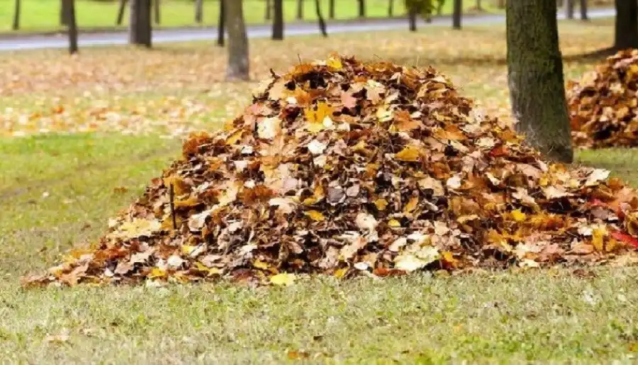 مدار الساعة,أخبار خفيفة ومنوعة