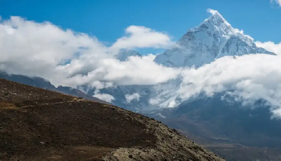 مدار الساعة,أخبار الصحة والأسرة