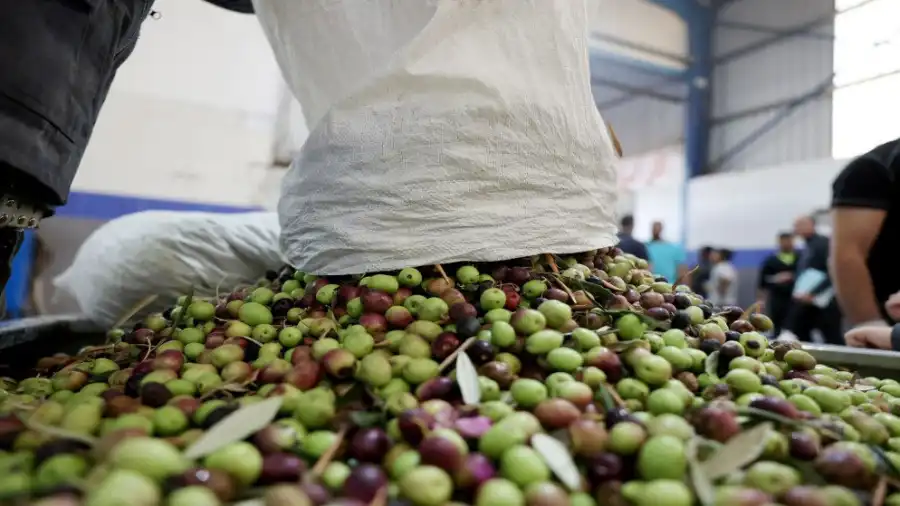 مدار الساعة,أخبار اقتصادية,وزير الزراعة,وزارة الزراعة,الميزان التجاري