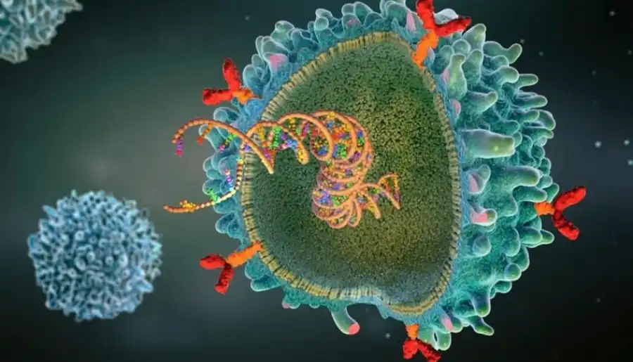 مدار الساعة,أخبار الصحة والأسرة,جامعة العلوم والتكنولوجيا