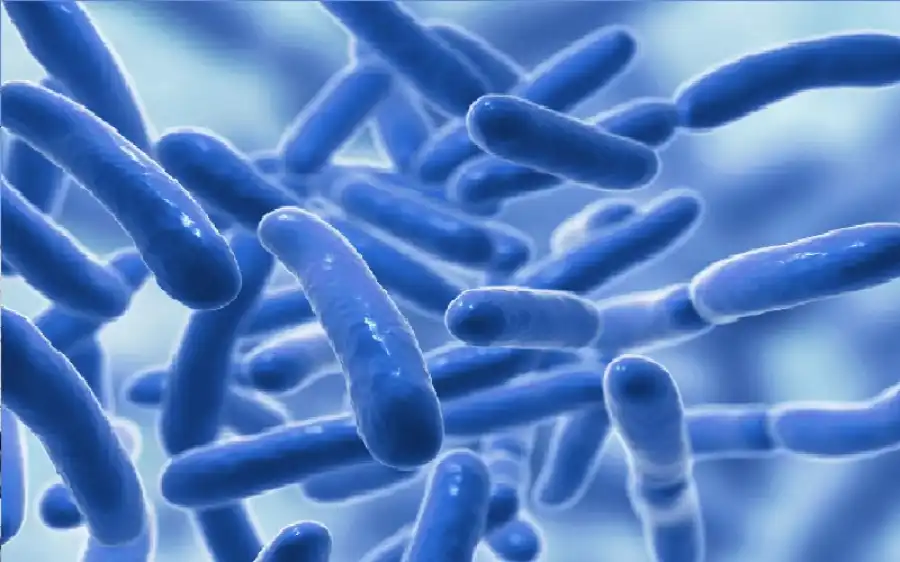 مدار الساعة,أخبار الصحة والأسرة