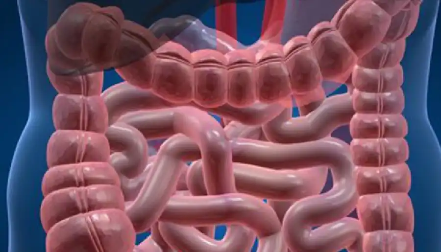 مدار الساعة,أخبار الصحة والأسرة