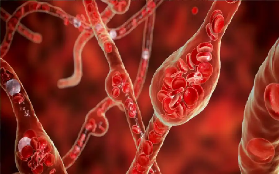 مدار الساعة,أخبار الصحة والأسرة