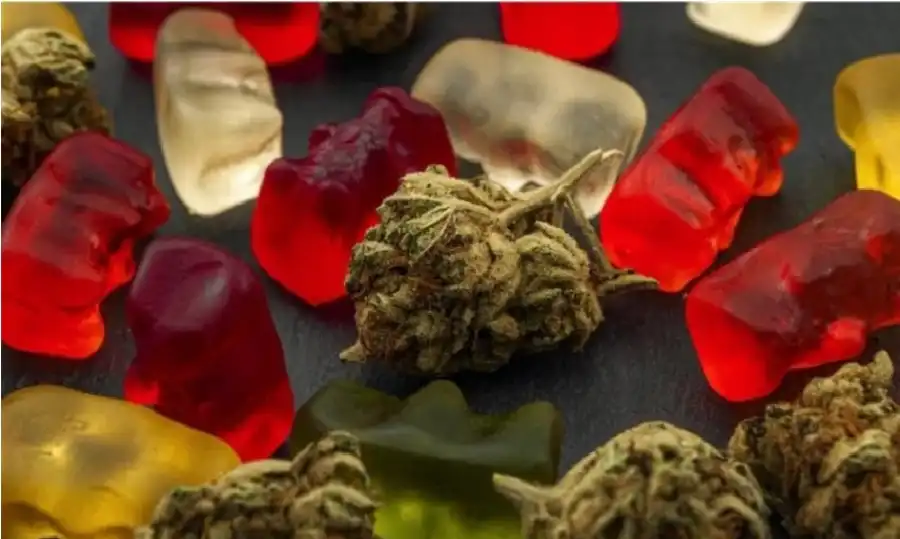 مدار الساعة,أخبار الصحة والأسرة