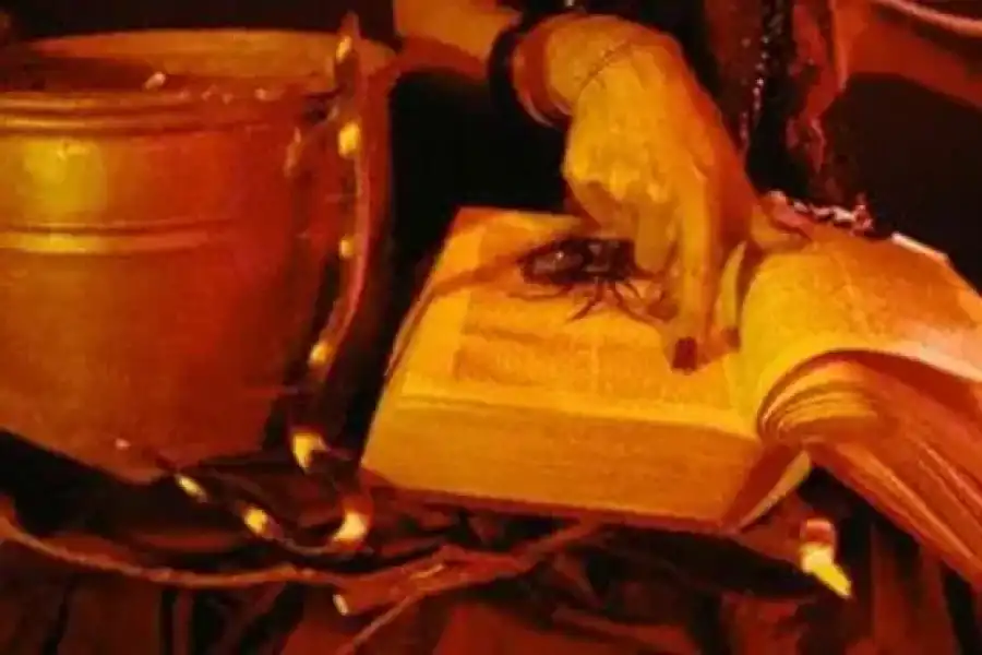 زوجات يطرقن باب العرّاف بحثا عن