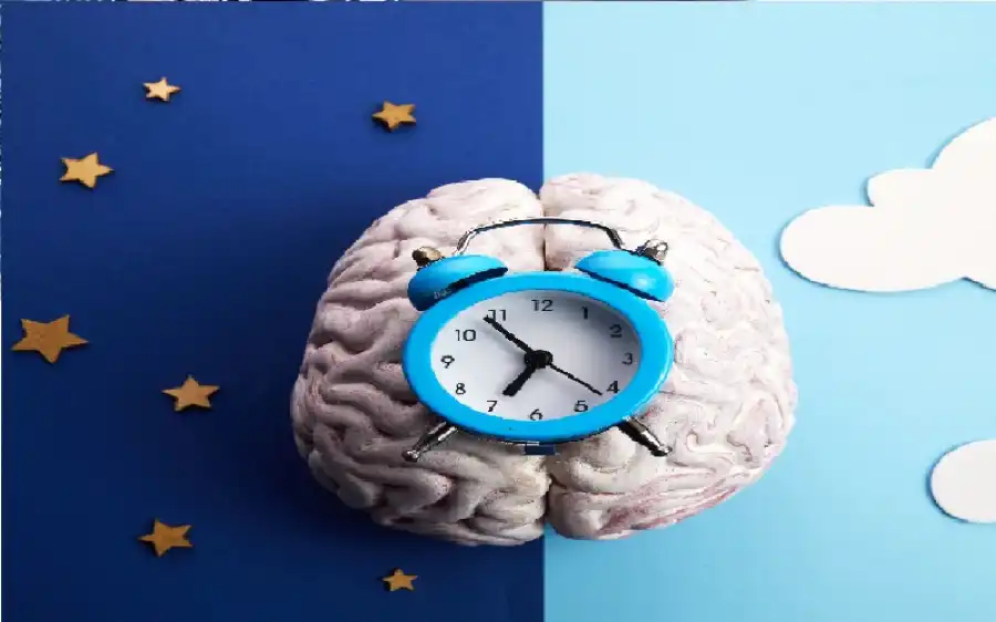 مدار الساعة,أخبار الصحة والأسرة