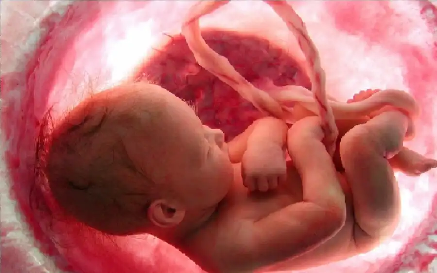 مدار الساعة,أخبار الصحة والأسرة,درجات الحرارة