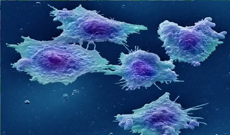 مدار الساعة,أخبار الصحة والأسرة