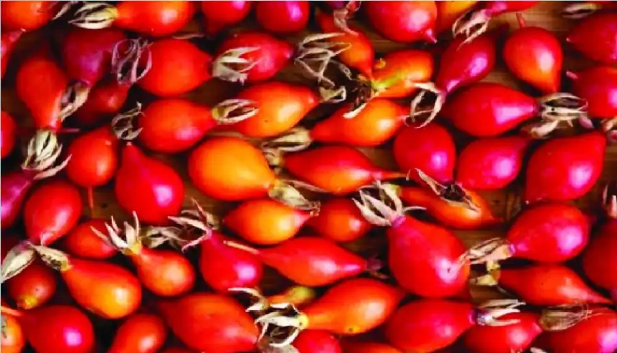 مدار الساعة,أخبار الصحة والأسرة