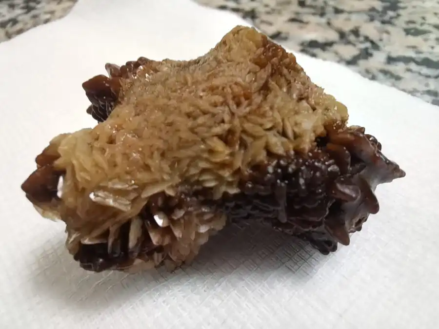 مدار الساعة,أخبار الصحة والأسرة,وزارة الصحة,وكالة الأنباء الأردنية,مستشفى النديم