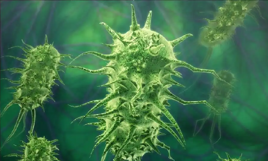 مدار الساعة,أخبار الصحة والأسرة