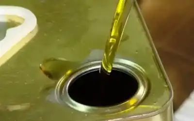 الزراعة: بدء استقبال طلبات استيراد زيت