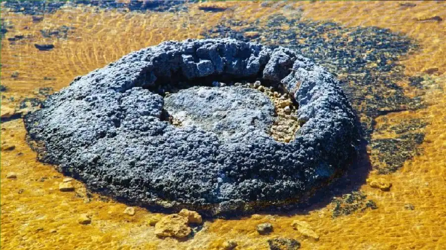 مدار الساعة,أخبار خفيفة ومنوعة