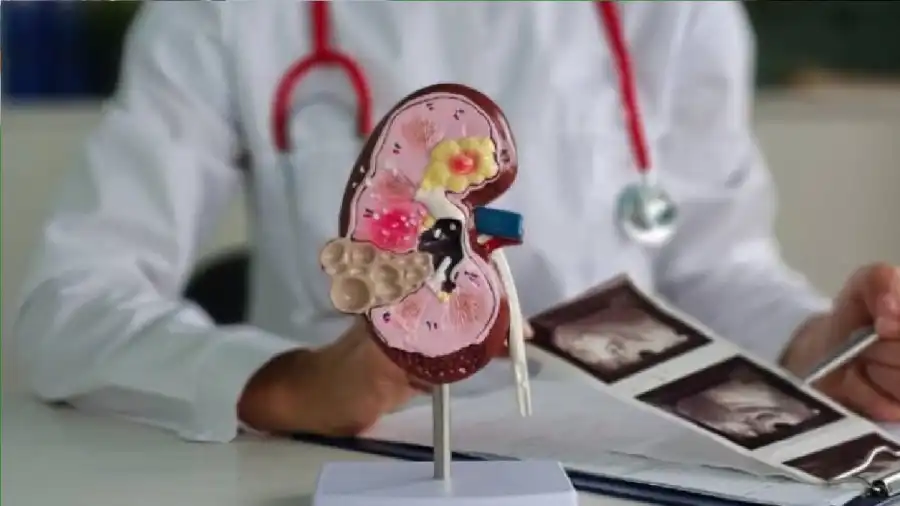 مدار الساعة,أخبار الصحة والأسرة