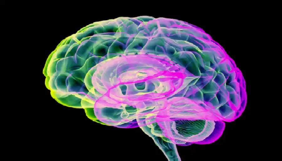 مدار الساعة,أخبار الصحة والأسرة