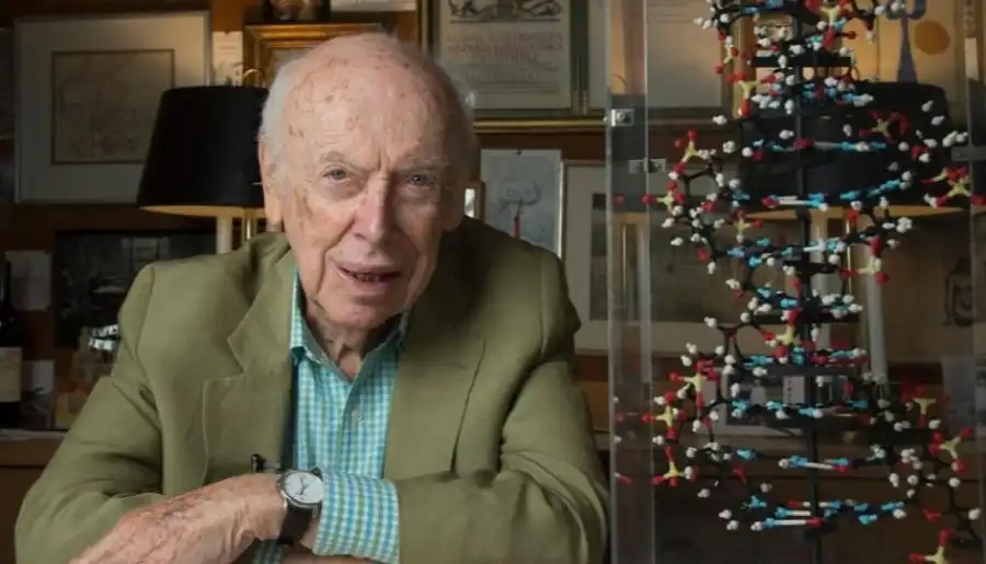 مدار الساعة,أخبار خفيفة ومنوعة