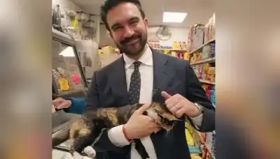 الألقاب تشعل التفاعل.. كيف تفاعل المصريون