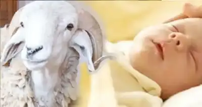 هل تريد ان تعقّ عن طفلك..