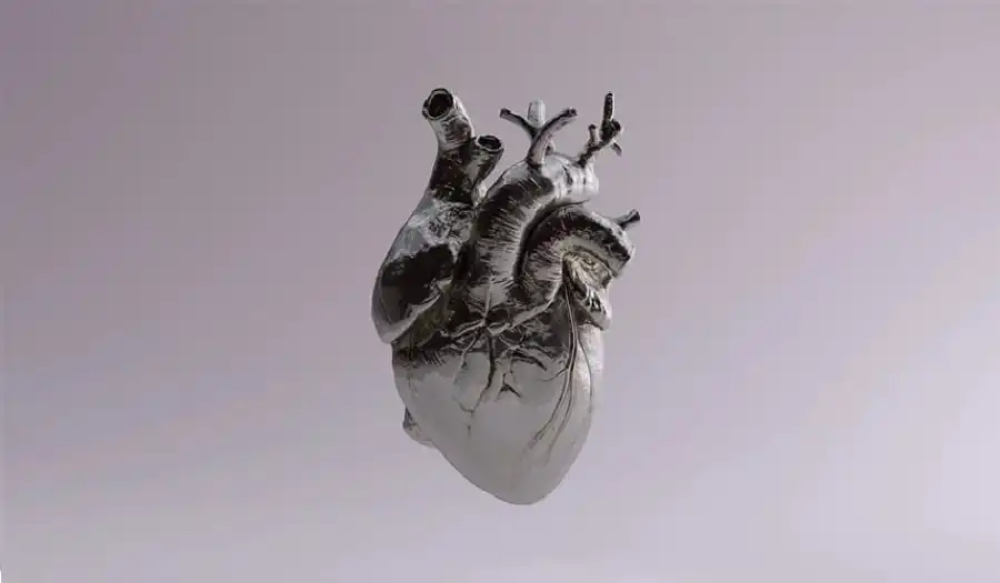 مدار الساعة,أخبار الصحة والأسرة