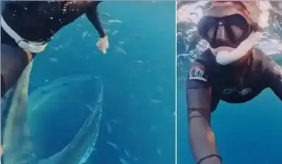 في اللحظة الأخيرة: غواصة تنجو بأعجوبة