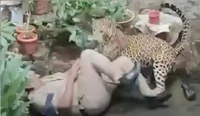 تحول مميت: شرطيان كادا يدفعان حياتهما