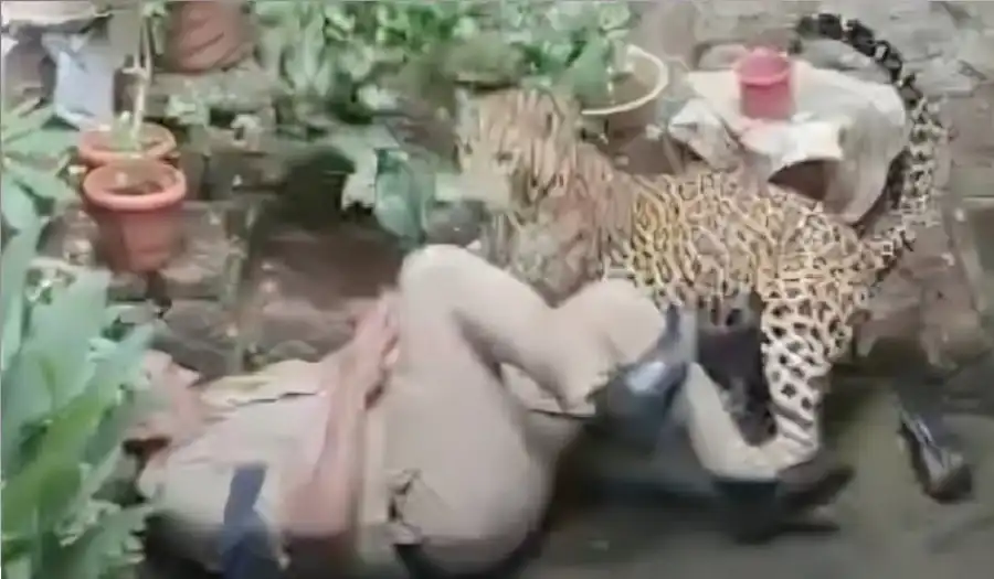 مدار الساعة,أخبار خفيفة ومنوعة