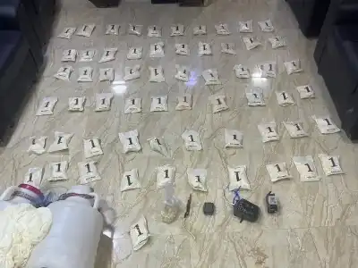 الجيش الأردني: أسقطناها.. وأفشلنا المحاولات الثلاثة