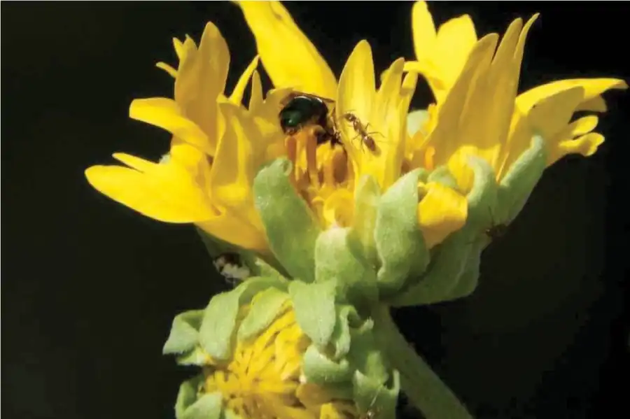 مدار الساعة,أخبار خفيفة ومنوعة