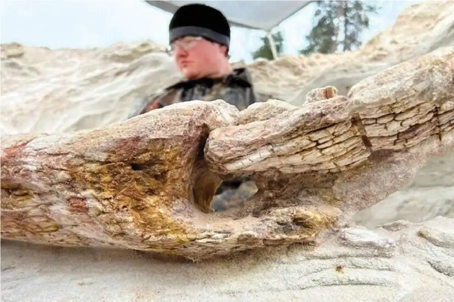 مدار الساعة,أخبار خفيفة ومنوعة