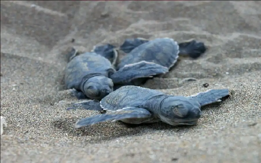 مدار الساعة,أخبار خفيفة ومنوعة,درجات الحرارة