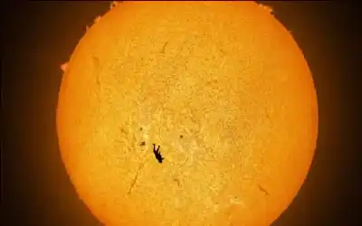 2. الصورة الأكثر خداعا للعين: اكتشاف