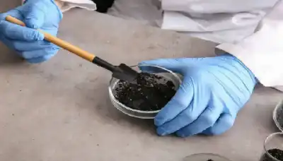 ثورة البناء الخضراء: نفايات تتحول إلى