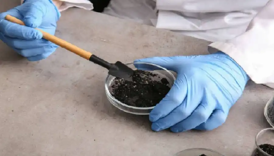 مدار الساعة,أخبار خفيفة ومنوعة