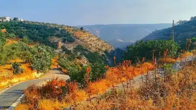 طقس الأردن حتى الجمعة