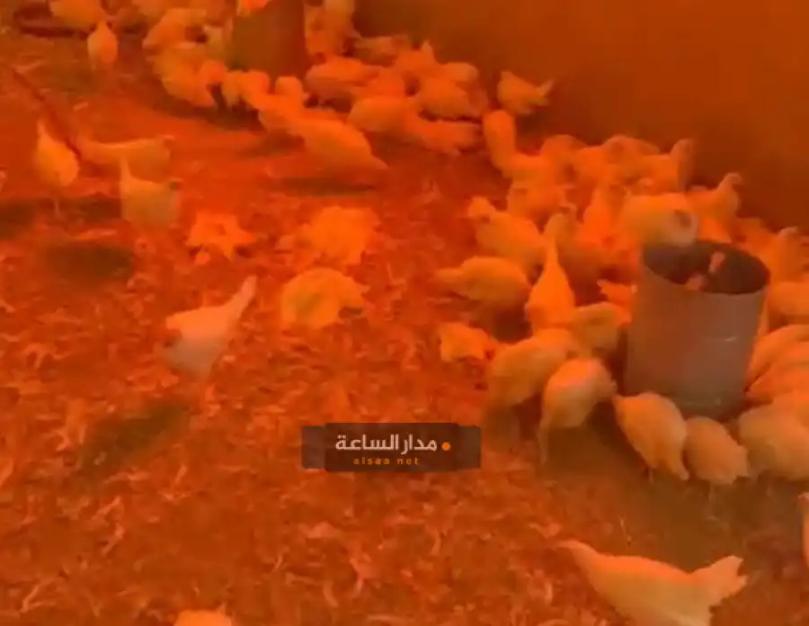 مدار الساعة,Video,فيديو,أخبار الأردن,اخبار الاردن